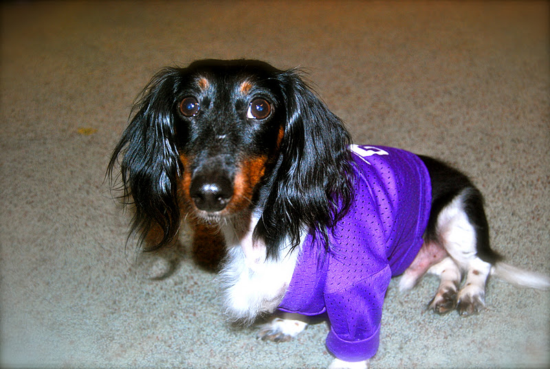The Kersten Haus Dachshund Coat Rack