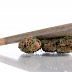 Researchers Finally Confirm that Marijuana DOES NOT Lower IQ in Adolescents