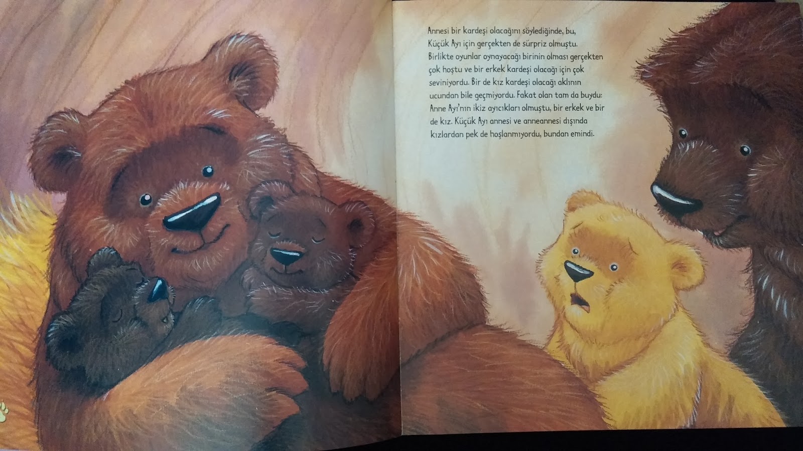 Песня младшего брата сестре. Старые медведи не умеют лазать по деревьям. Папа медведь и Медвежонок. Приключения медвежонка сказка. Книги для детей про маму медведицу.