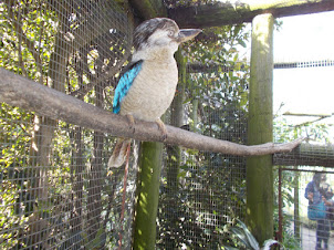 "World of Birds" in Cape Town