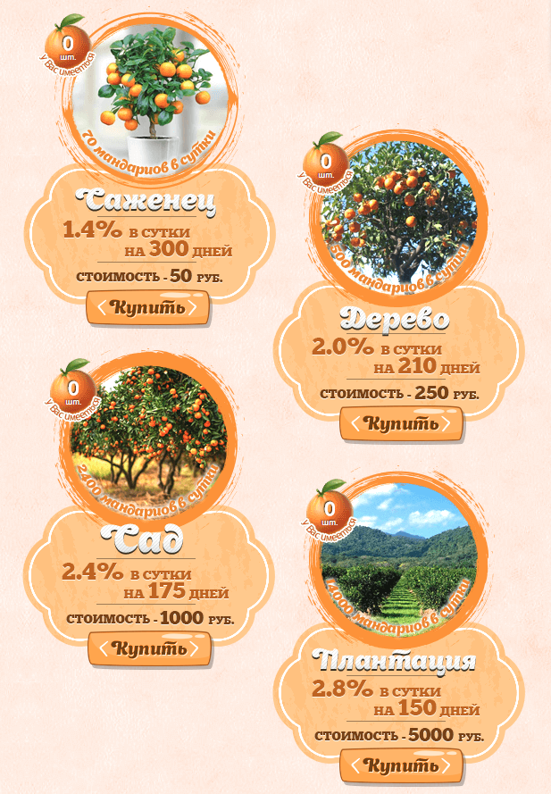 Маркетинг orange24.farm mmgp