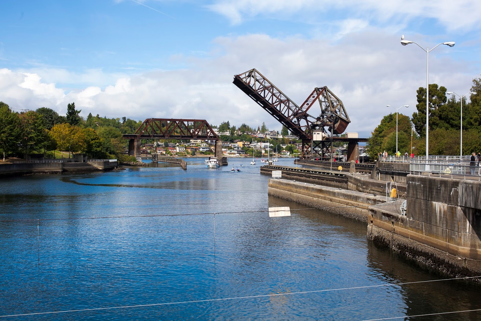 The Geeky Peacock: Adventures: The Ballard Locks and Fish Ladder in Seattle
