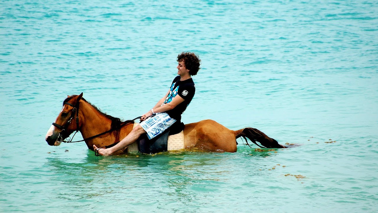 Horse Riding In Water Horse Choices