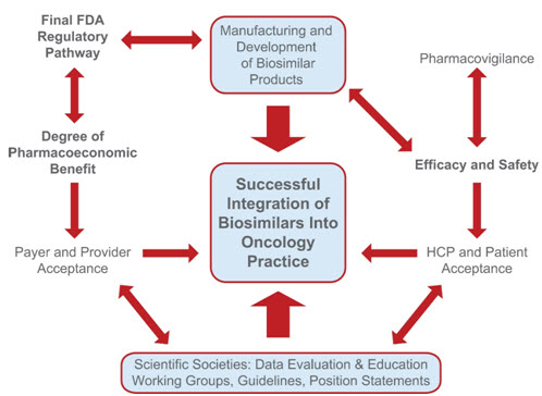 Parameters influencing the successful uptake and integration of biosimilars into US oncology practices