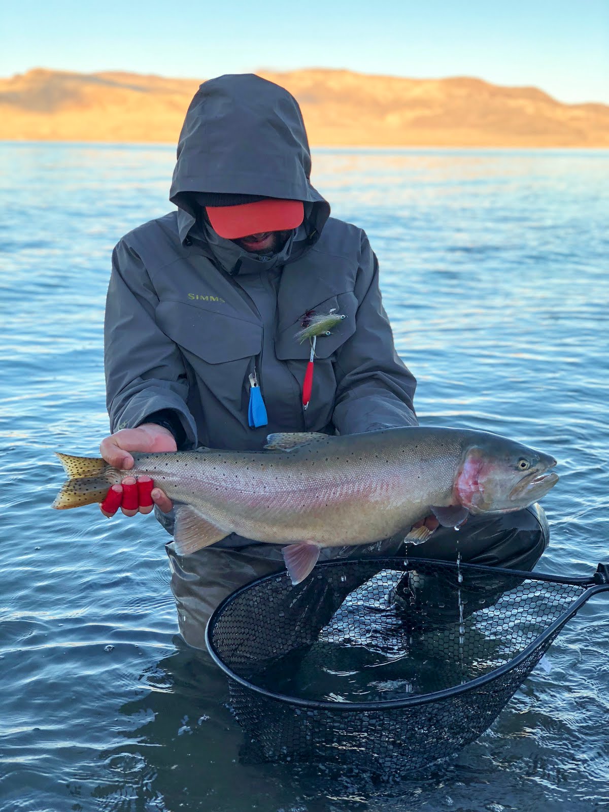 The Wine Booby Fly Fish Food