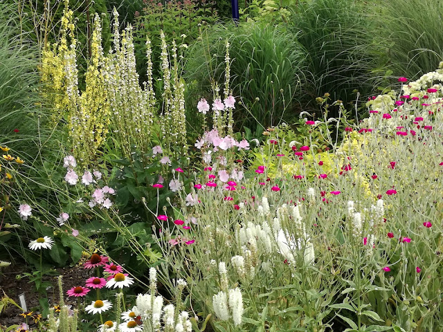 rabata bylinowa, perennial border, 