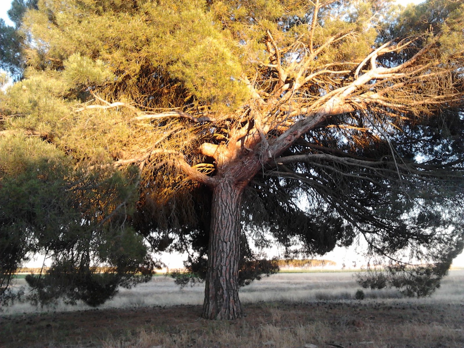 Scooby English News Blog An educational walk in the Spanish Woods