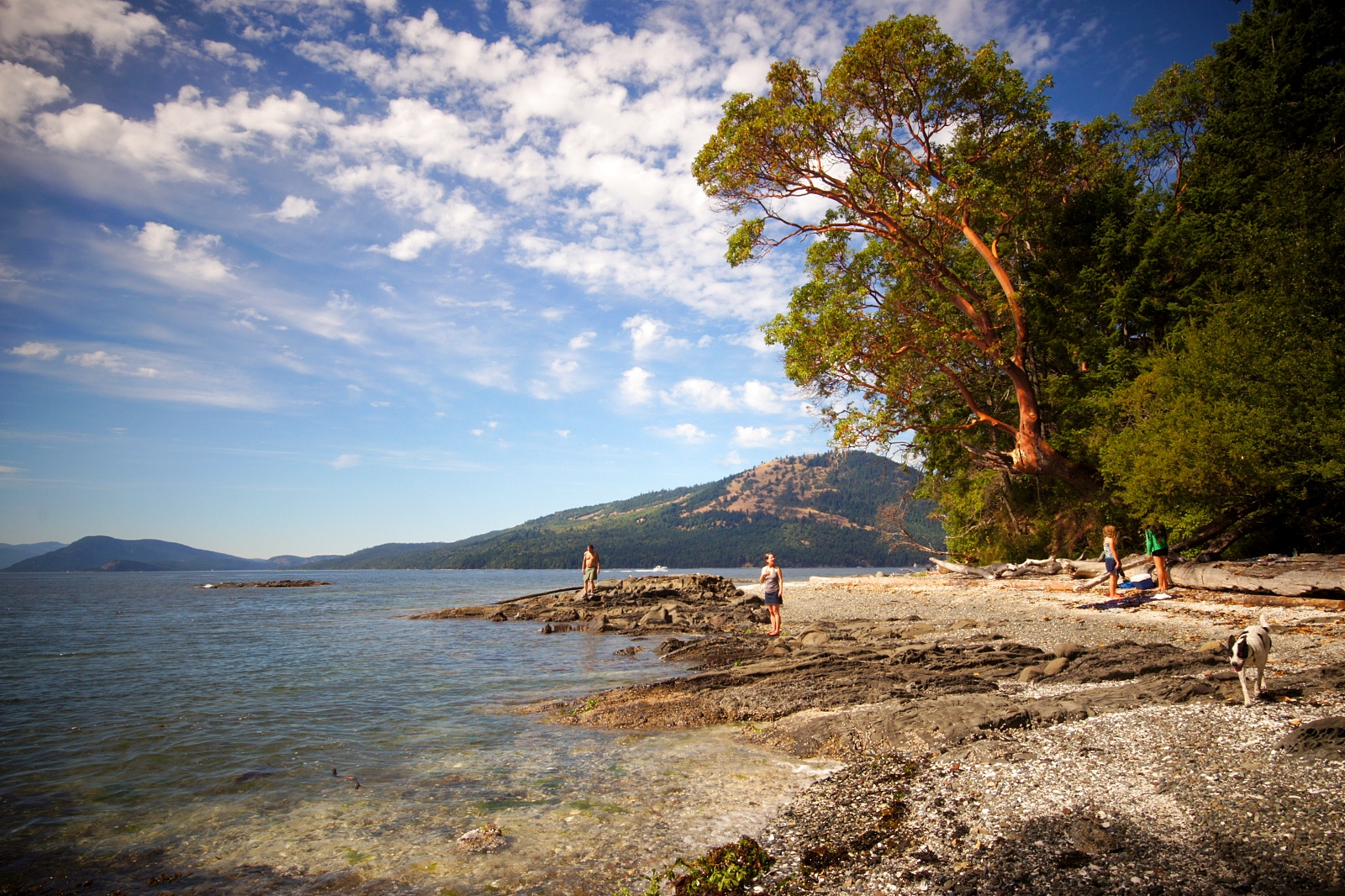 Victoria Picture Saanich Summer