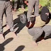 Ditahan, Pria Saudi Ngaku Ikut ISIS Untuk Fitness
