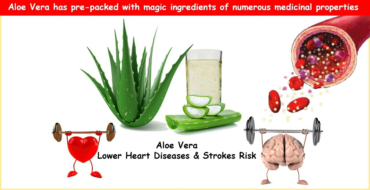 NATURAL REMEDY TO REDUCE BLOOD PRESSURE AND HIGH CHOLESTEROL Look