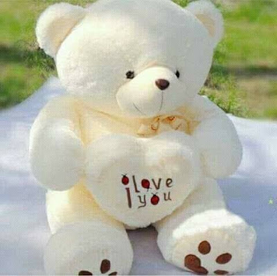 cute teddy dp for whatsapp cute teddy dp for whatsapp