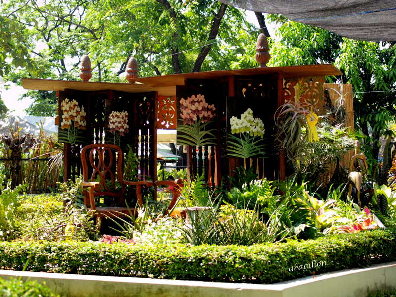 Andrea's Plants, Photos and Travels Philippine Orchid Show 2013
