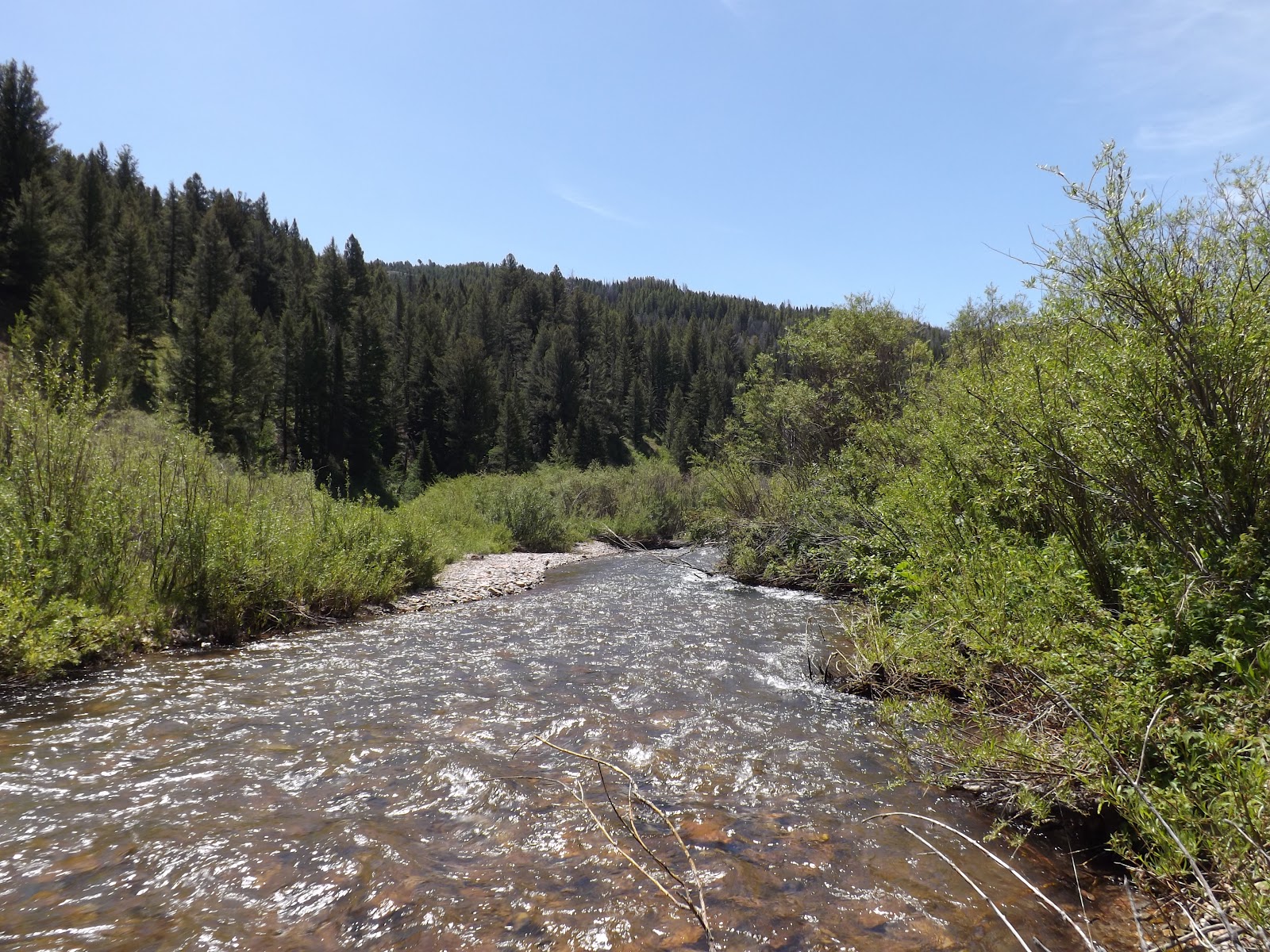 Backpacking Hobble Creek, Wyoming June 2012