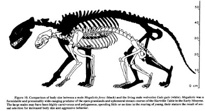 Prehistoric Wolverine