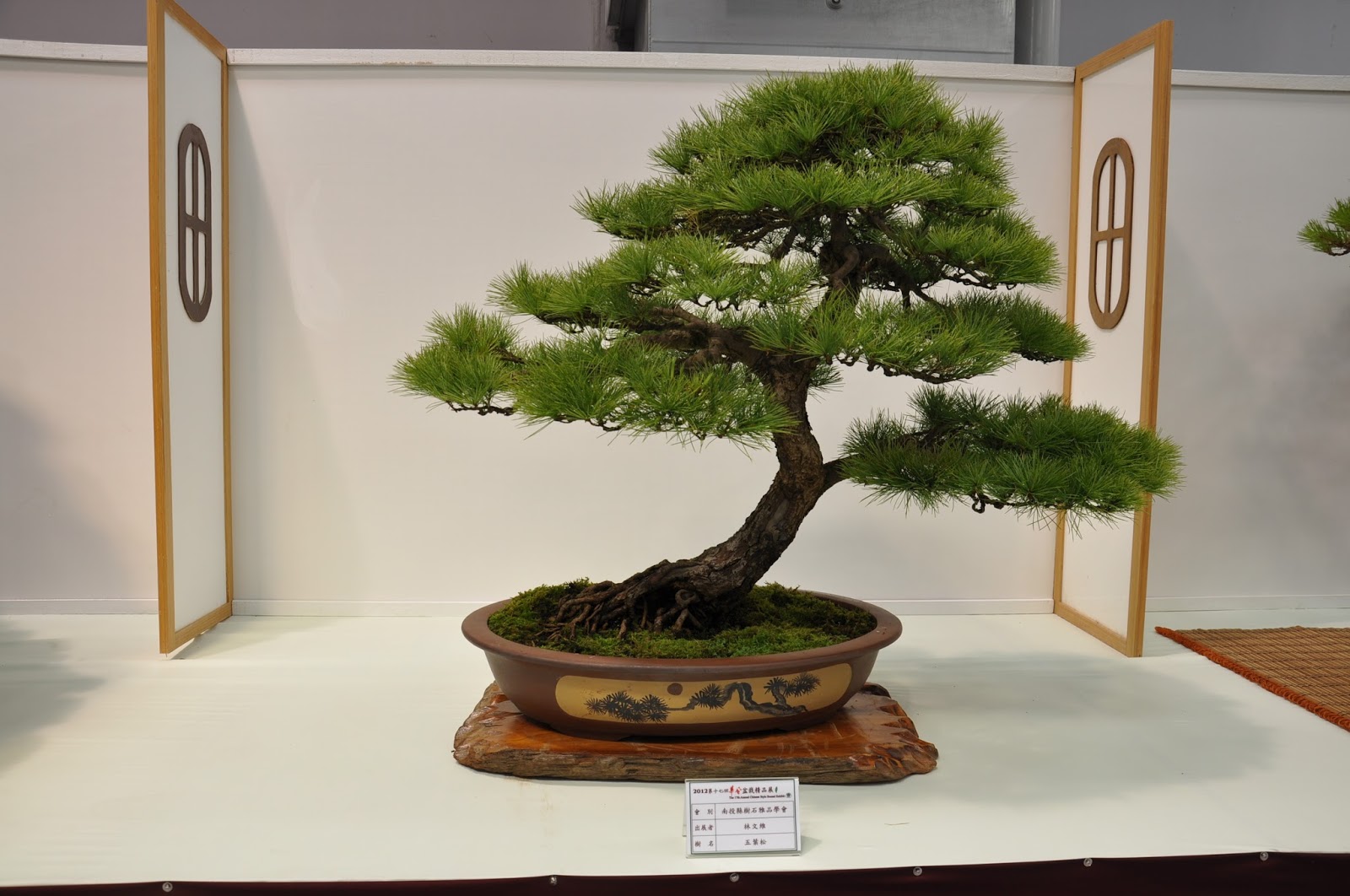 All in One Bonsai and Ceramics Taiwan Bonsai Exhibitions