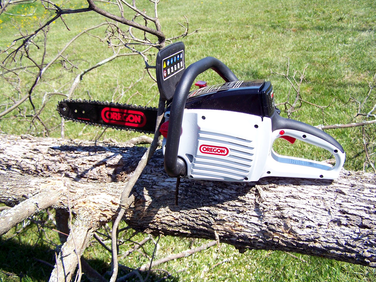 Restful Trails Food Forest Garden Chainsaw Trial and Emerald Ash borer