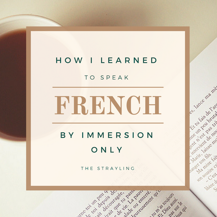 How to learn French by immersion only