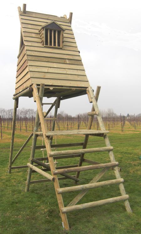 How To Build A Stilt Cabin Minimalist Interior Design