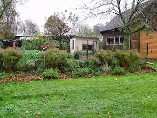 fort sind sie die Farben im Garten (c) by Joachim Wenk fort sind sie die Farben im Garten (c) by Joachim Wenk