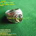 Cincin Akik PERAK 925  Batu BADAR LUMUT sedang model 01 by: IMDA Handicraft Kerajinan Khas Desa TUTUL Jember
