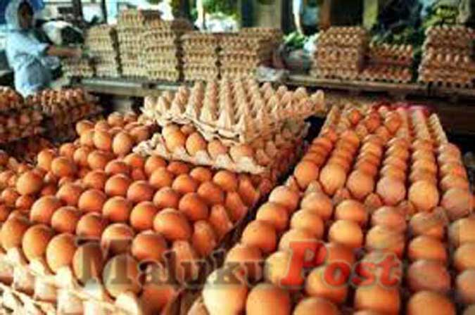 Harga Telur Ayam Ras Di Ambon Bervariasi Ambon, Malukupost.com - Harga telur ayam ras yang ditawarkan para pedagang di pasar tradisional kota Ambon menjelang perayaan hari raya Natal 25 Desember 2016 mulai bergerak naik dan bervariasi. Pantauan di lokasi pasar Mardika dan Batumerah, Minggu (19/12), para pedagang menawarkan harga telur ayam ras bervariasi yakni dari Rp1.400 hingga Rp1.600/butir, padahal pada hari-hari biasa Rp1.400/butir.