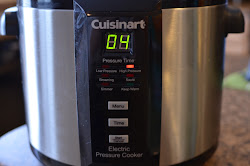 provident princess puree pumpkin pressure cooker