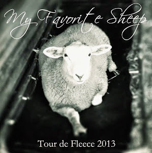 2013 Tour de Fleece