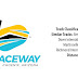 NASCAR Fantasy Fusion: Bluegreen Vacations 500 at ISM Raceway