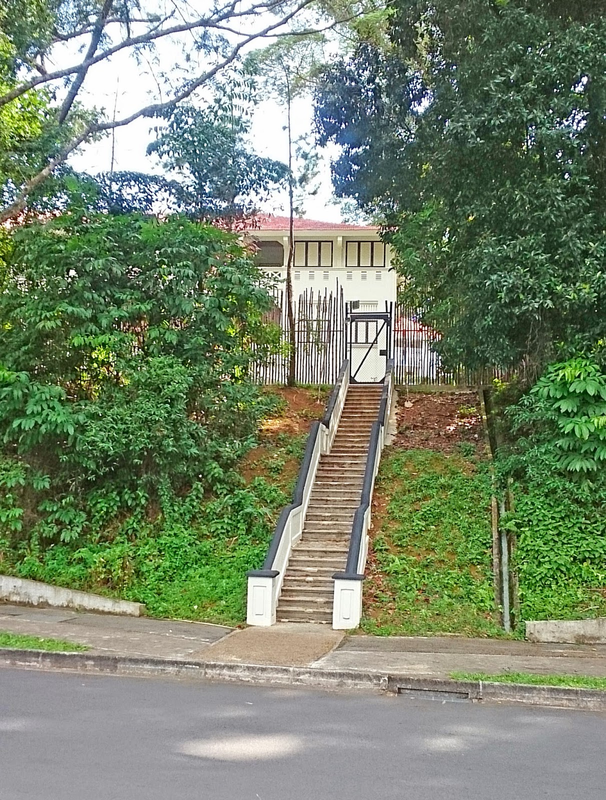 my photography Out biking at Hendon Road