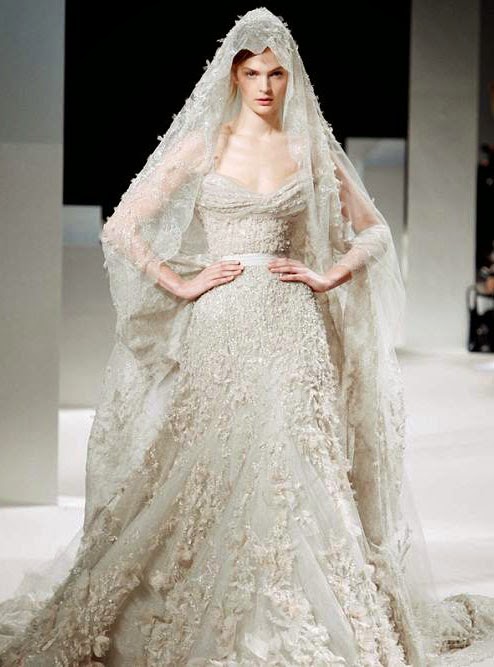 Elie Saab Wedding Dresses Lace 2014 Concepts Ideas