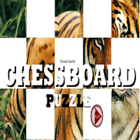 Chessboard Puzzles