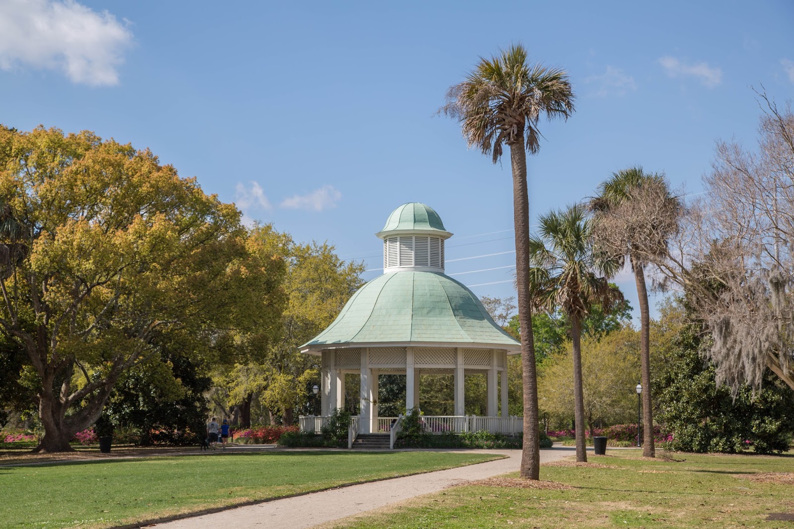 Charleston Daily Photo Walk with me Hampton Park