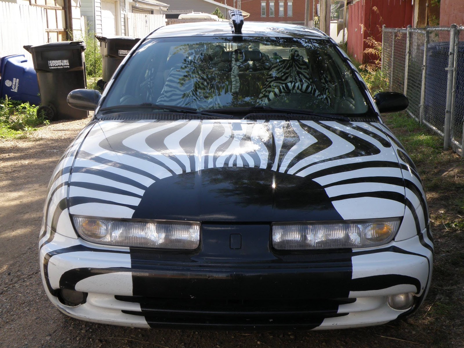 'OZ' The 'Other' Side of the Rainbow The Zebra Car Saskatoon, SK