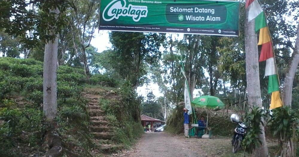 Harga Tiket Wisata Alam Capolaga Adventure Camp Subang