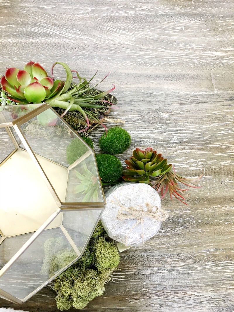 Prim and Propah DIY Terrariums with World Market