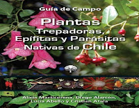 Guía de campo - Plantas Trepadoras, Epífitas y Parásitas Nativas de Chile | CORMA plantas-trepadoras-epífitas-parásitas-nativas-de-chile