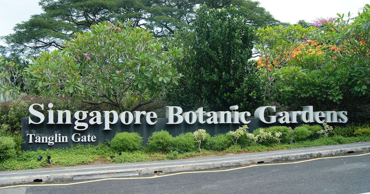 To Singapore and More!: The Botanic Gardens