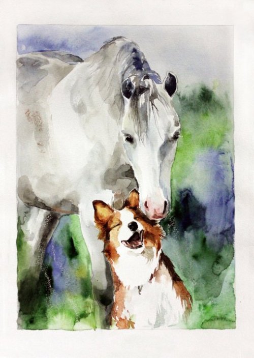 As coloridas aquarelas retratando animais de Elena Shved Elena Shved deviantart pinturas aquarelas coloridas animais manchados cavalos gatos cachorros leões tigres cores