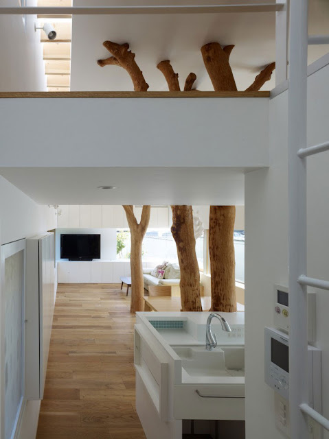  Kiến trúc "Tree House" của H.Ogawa xu hướng mới
