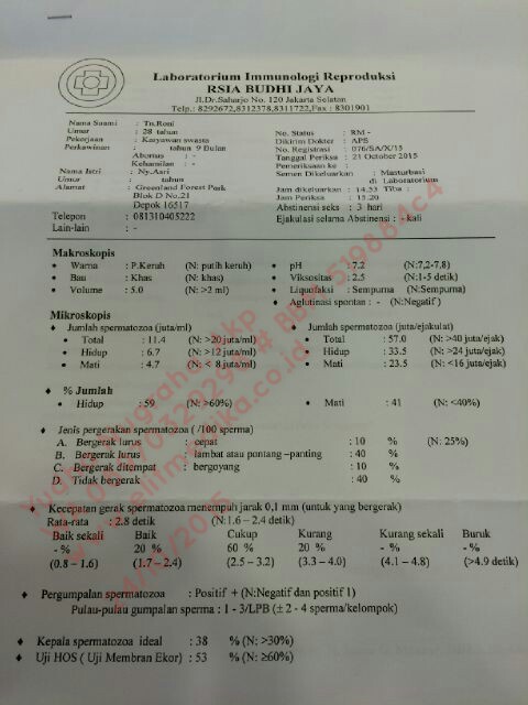 Extreme Oligozoospermia Konsultasi Dan Pengobatan Extreme Oligozoospermia Konsultasi Dan Pengobatan