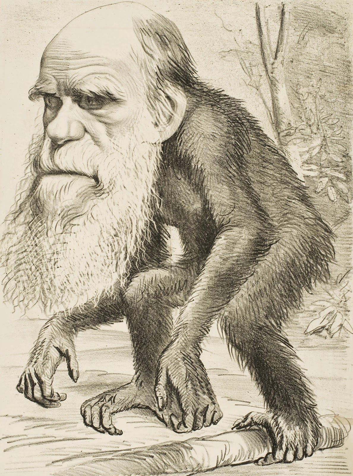 Evolution By Darwin By Ben Meme Center