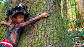 La defensa de la Naturaleza del Papa en "Laudato, si"🌸