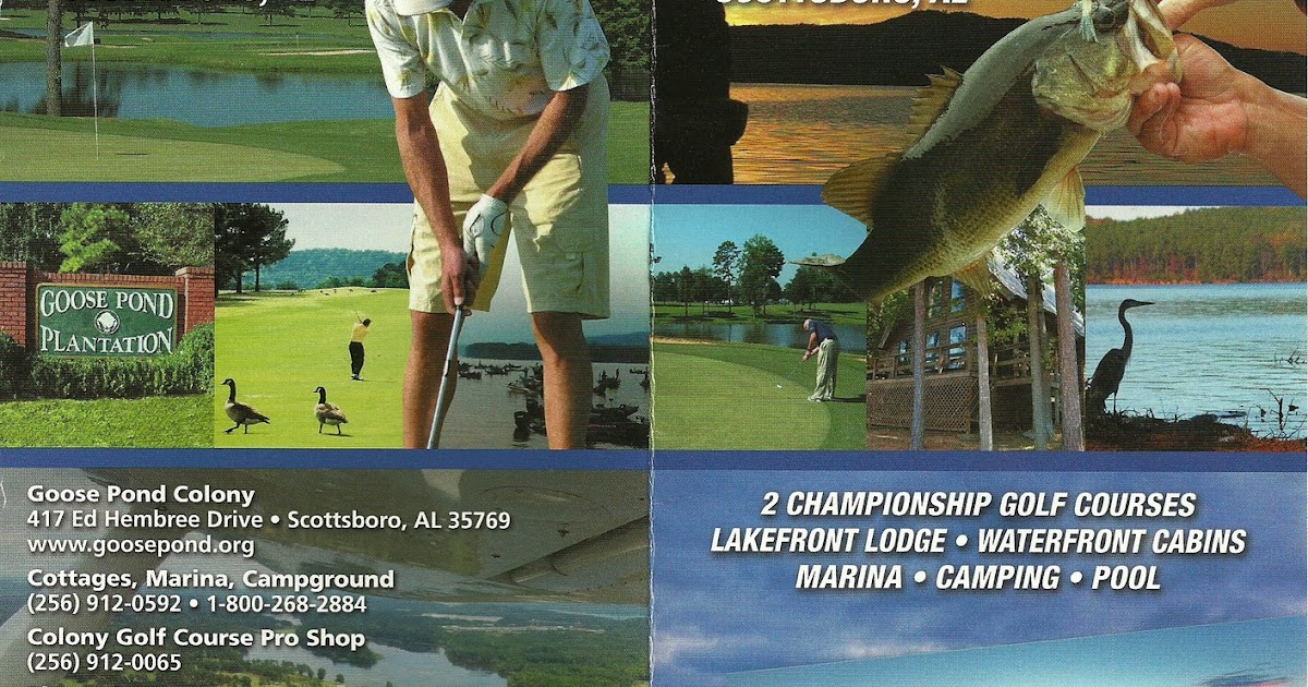 In The Boro News Video And Commentary Scottsboro Parks