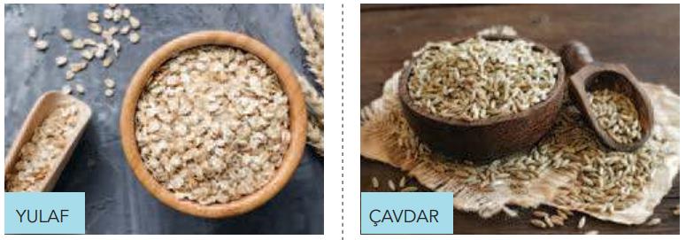 Yulaf mı, çavdar mı? Yulaf mı, çavdar mı?