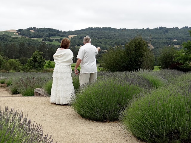 ...a quiet life... mantanza creek winery and lavender