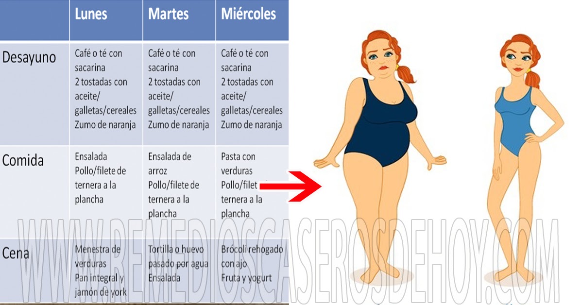 Dra opiniones de la dieta sass