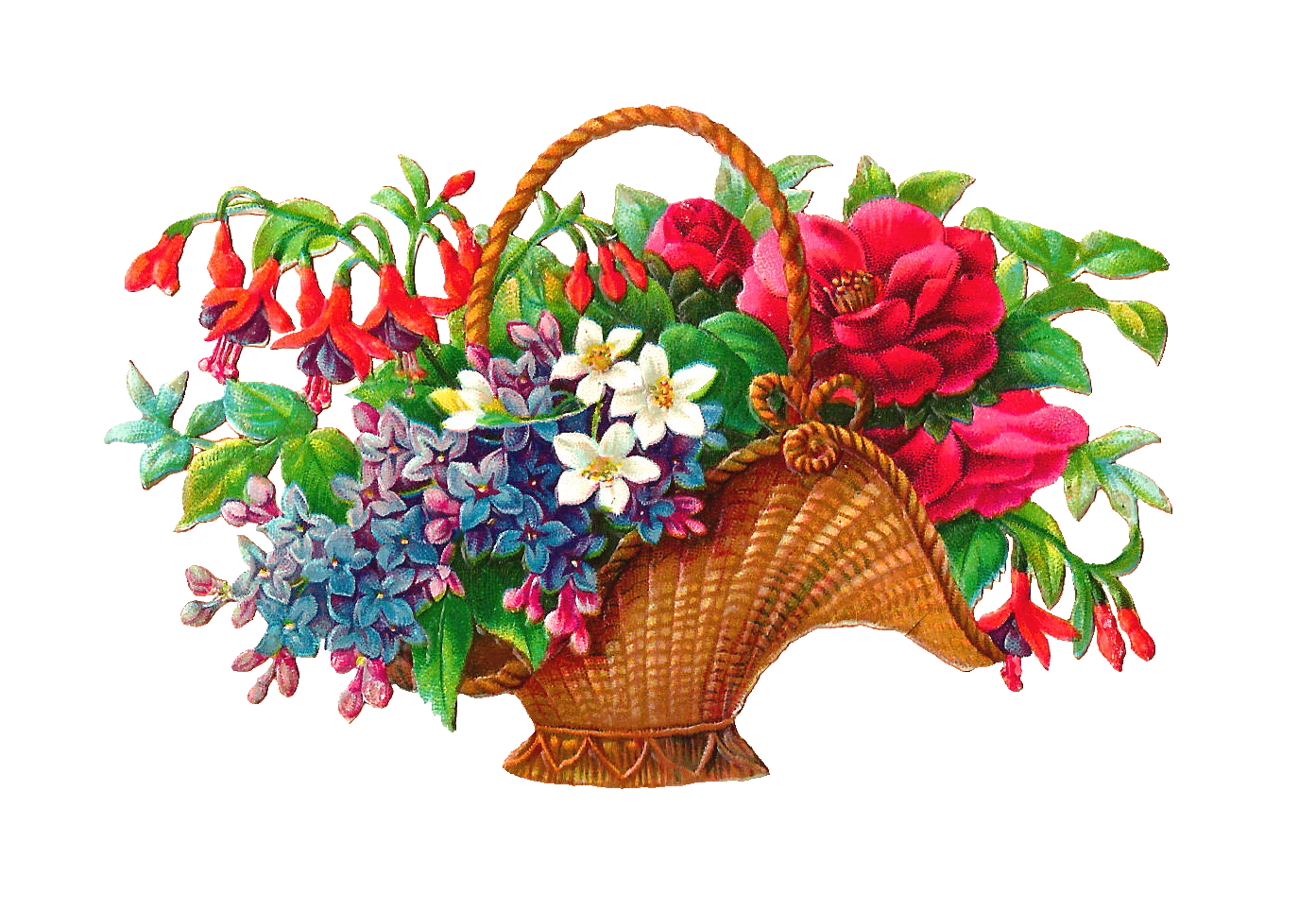 free clip art flower baskets - photo #3
