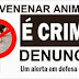 REGIÃO / MAIRI: Cachorros estão morrendo envenenados, segundo denúncias recebidas pela AMPA