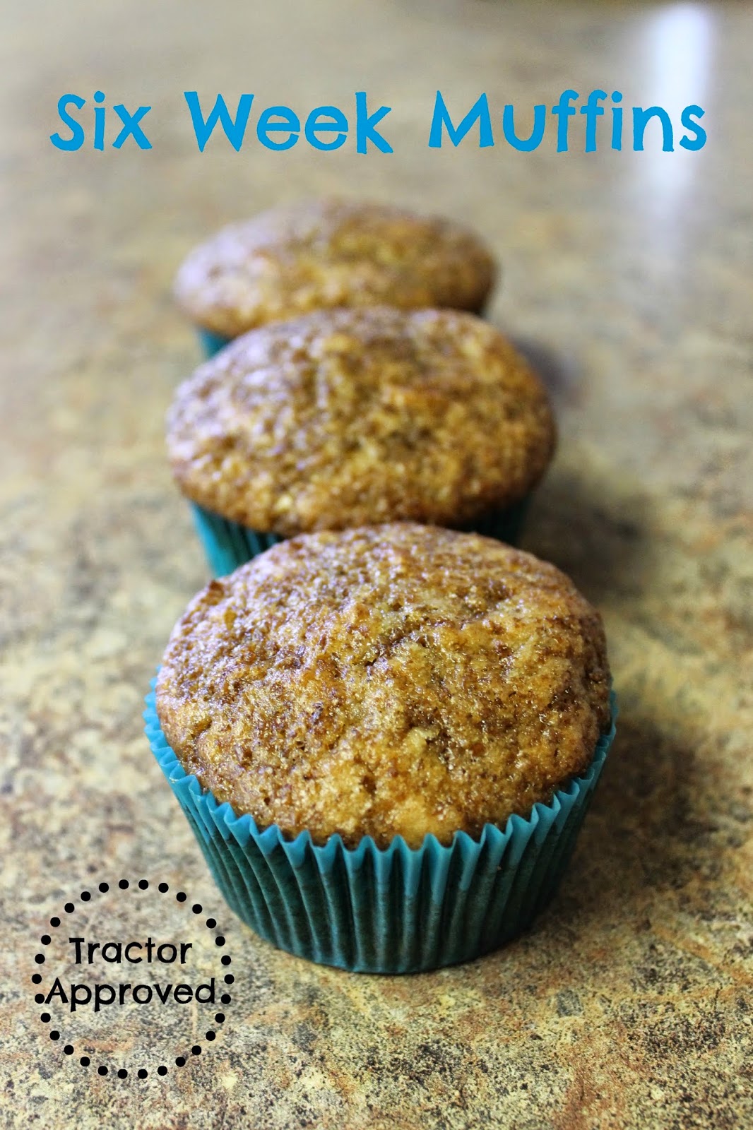 Six Week Muffins - fresh muffins for up to six weeks