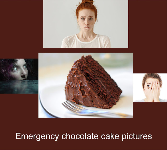 http://alcuinbramerton.blogspot.com/2006/06/emergency-chocolate-cake-pictures.html